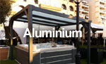 Aluminium