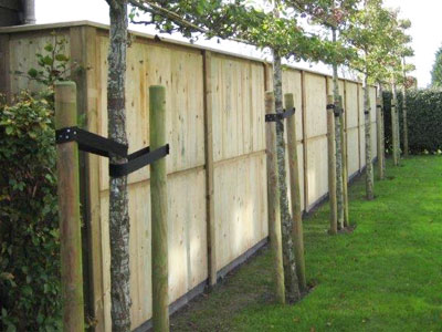 Geluid schermen hout !