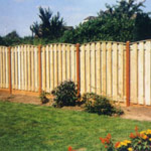 Schutting Houten FSC Grenen Bankirai 2022 - 